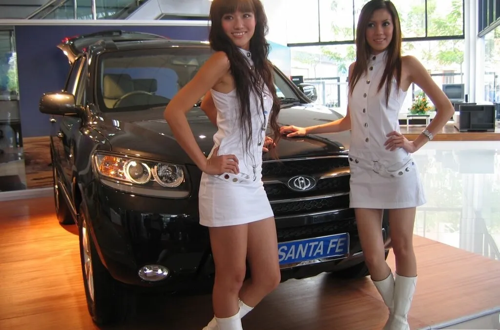 Car Models 302