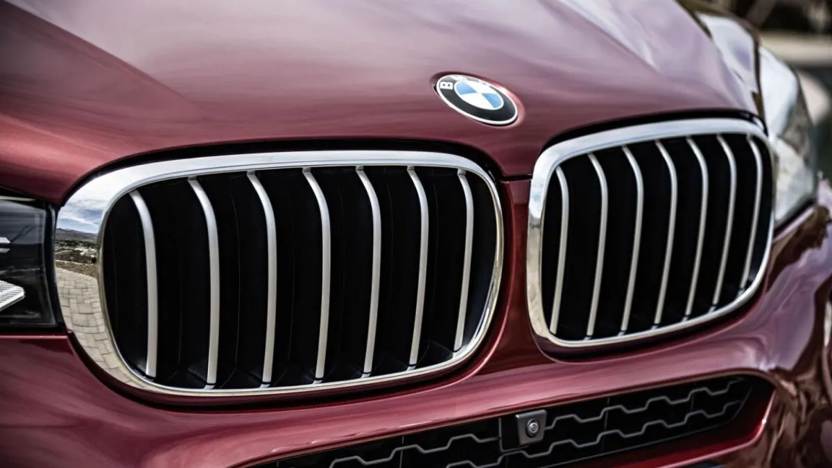 BMW X6 (40)