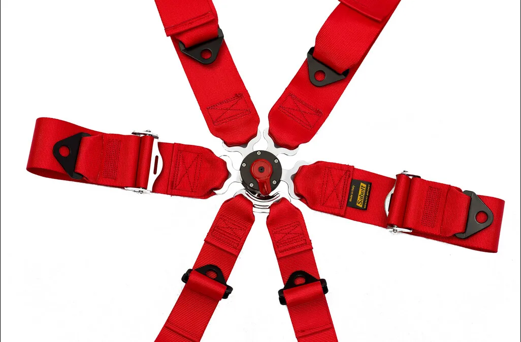 Sixpoint harness with aviation style buckle