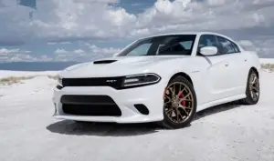 hellcat6