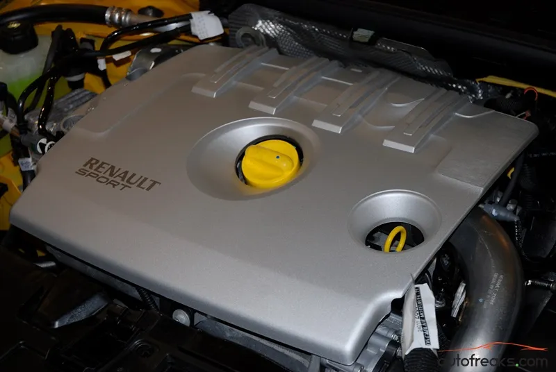 Renault Megane RS 265 Cup - 19