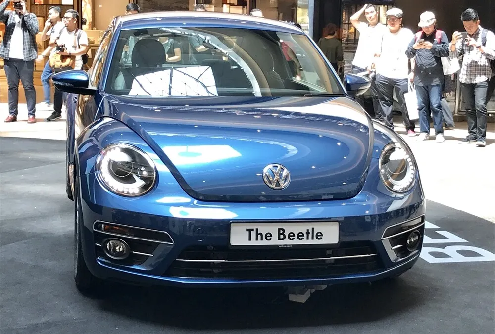 VW Beetle (8)