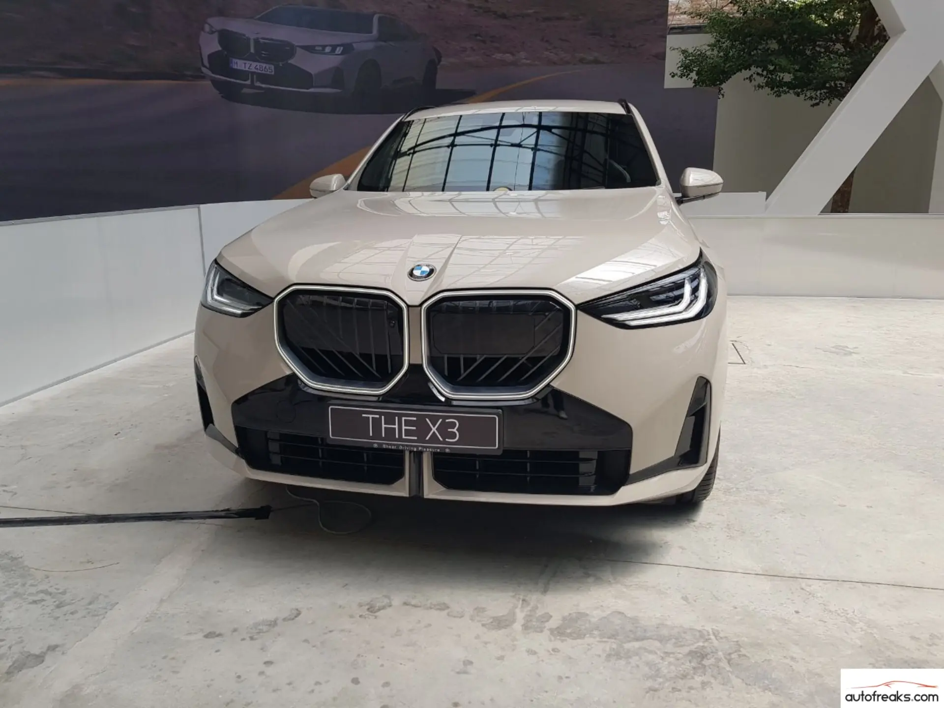 The BMW X3