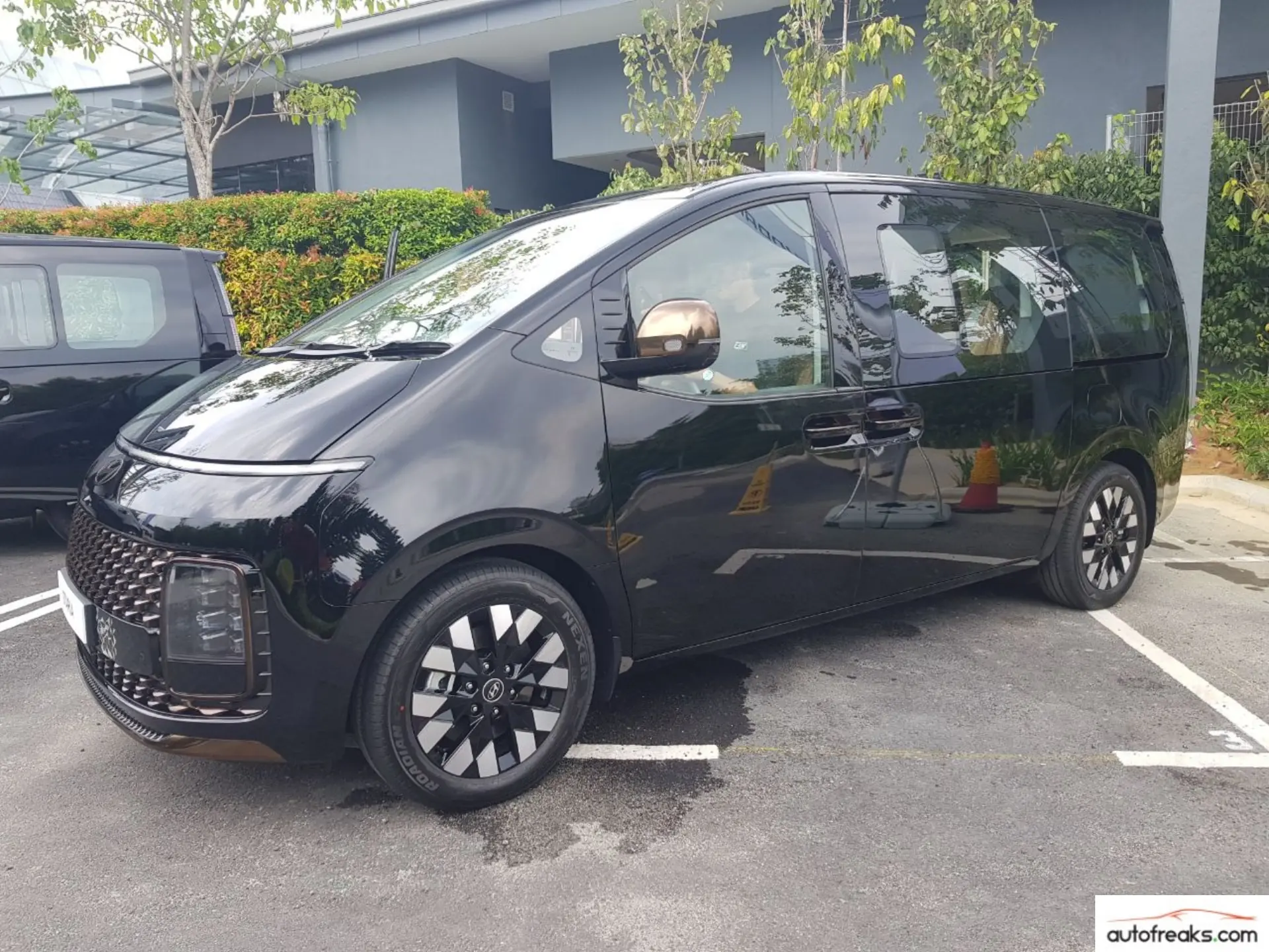 Side view of the staria